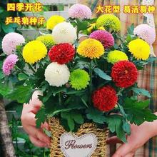 ǹջNһļ_ƹ߲ƹҾջͥԺѷNֲ