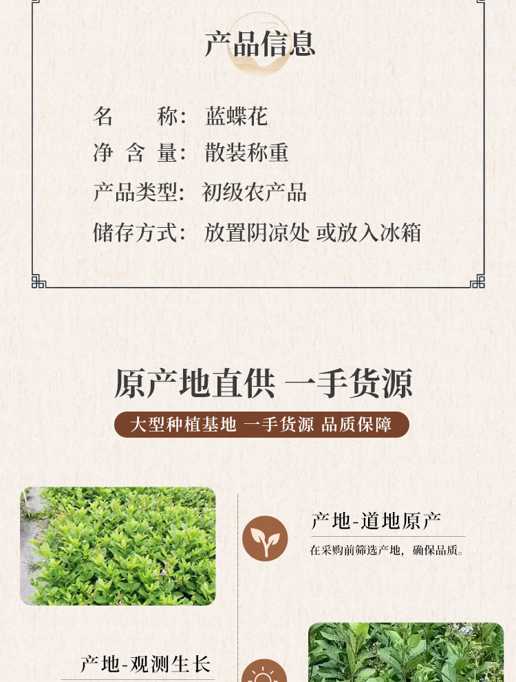 Blue Butterfly Pea Flower 500g Dried Clitoria Ternatea Herbal Tea Ingredient quality and texture