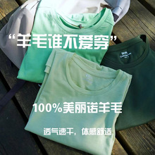 灰壳美利奴羊毛速干衣女短袖T恤圆领户外运动徒步跑步美丽诺羊毛