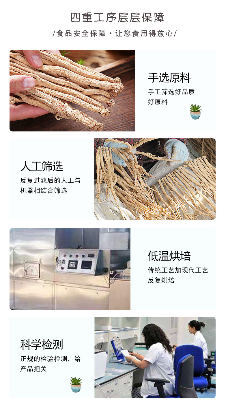 Dried Codonopsis Root Segments Dang Shen 50g Gansu Origin Herbal Tea and Soup Ingredient quality and texture