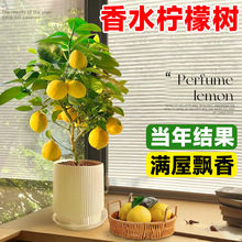 ��ˮ���ʘ�����ˮ������͏d�Gֲ�����ʳ���҃����̨�ļ��Y��