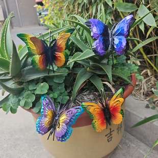 �¿�R�d�Fˇ�����ҾӸג����@���þ߻���ř��b����ˇƷ