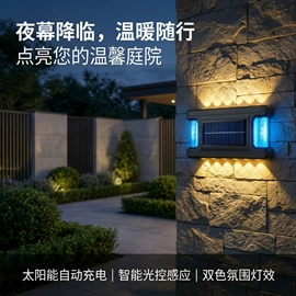 太阳能灯;草坪灯;景观灯