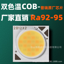 双色cob灯珠100w大功率高亮普瑞光源 倒装高显指芯片双色温光源板