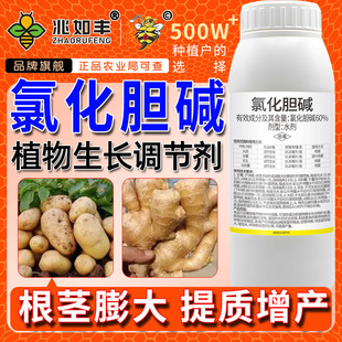 �����S60%�Ȼ�đ�|�����{�����|���a�t����������ֲ�����L�{����