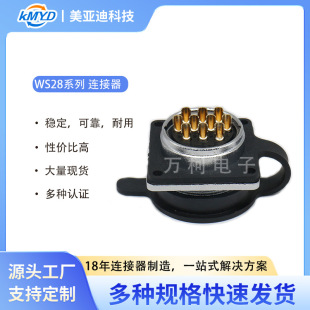 WS28ϵ�з���Z��ĸ������尲�b��������B����������S�~���|�c