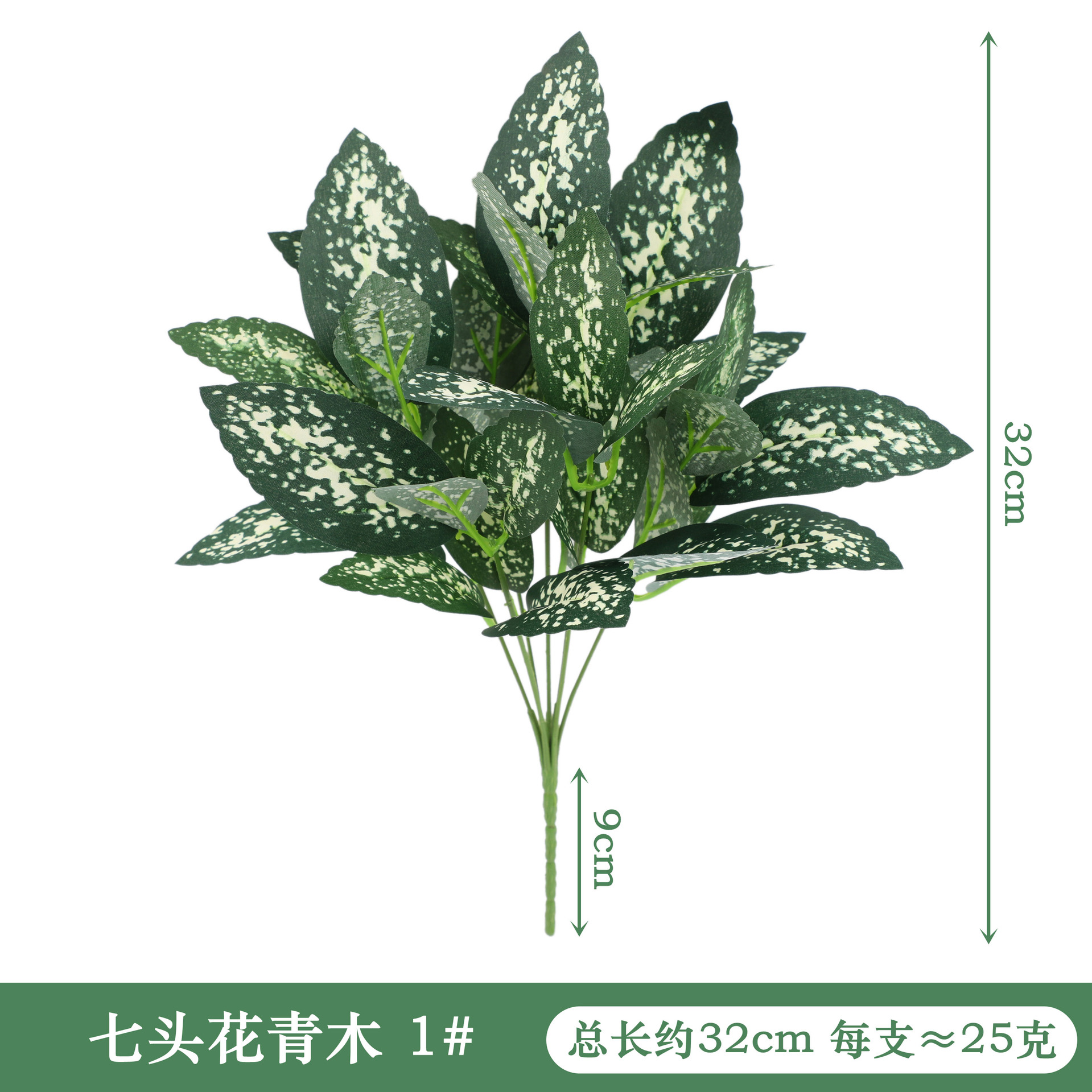 YAL28-210-7 # 일곱 머리 꽃 아오키 1 # 색상