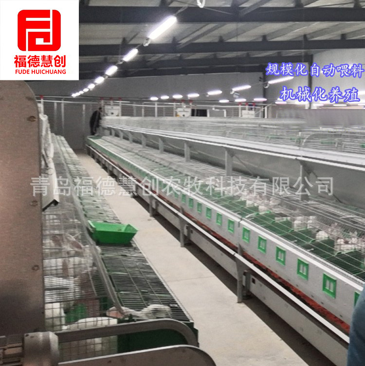 养殖种兔肉兔自动喂料笼具 欧式兔笼自动喂料设备兔笼子