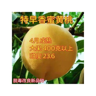 �S�Ҙ�����Ʒ�N�����ش������S�����Ҙ����S�Ҙ���޽��S�Ҙ���