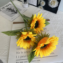 滨տٻ ֦1 3 5̫ꖻϵ ҾbĔz