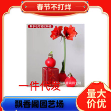 ��������피t�N���Ϟ�Y���M����������҃��^�p�oˮ��������_��