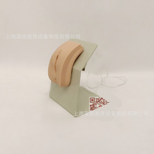 Advanced female urine -conducting model ET/H28E