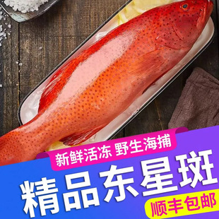 Ұ���|�ǰ��r����~����ʯ���~���r�����r���ك����rˮ�a��S���]