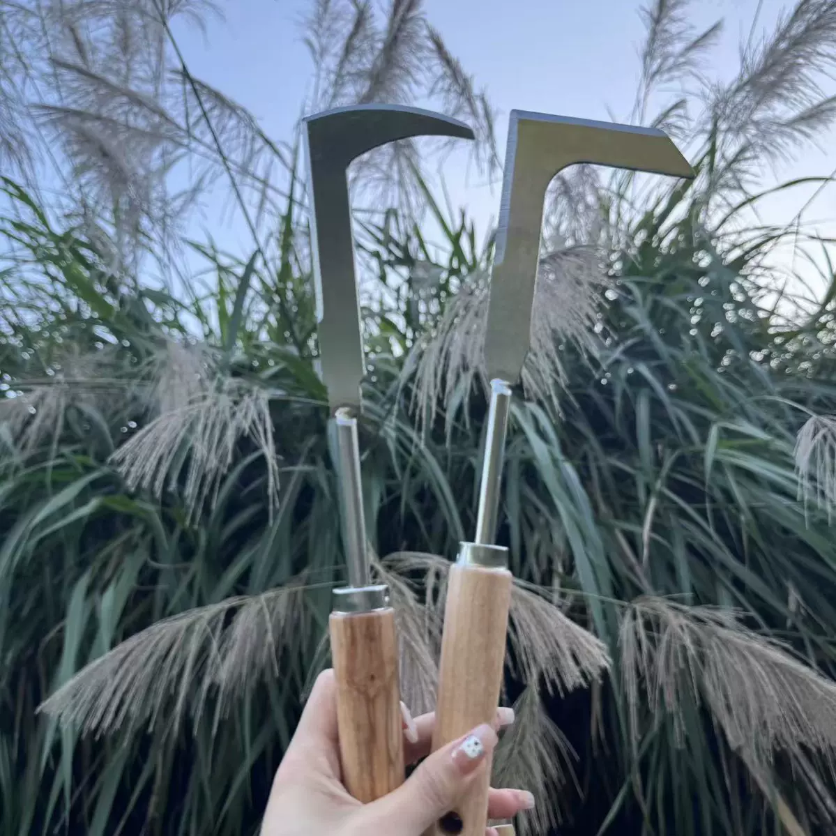 园艺工具不锈钢木柄除草器缝隙锄草拔草器套装庭院清理杂草刀轻巧