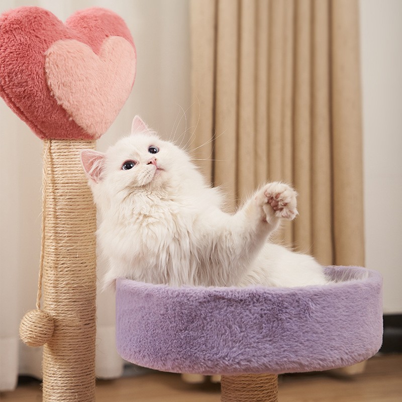 고양이 등반 랙 고양이 선반 고양이 둥지 고양이 나무 통합 고양이 등반 랙 작은 고양이 용품 고양이 타워 고양이 잡아 열 4 계절 유니버설