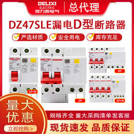 德力西DZ47SLE漏电保护器D型空气开关2P63A32a家用漏保断路器