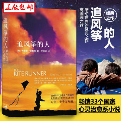 The Kite Chasing Man the Shadows the Modern and Contemporary Literature Best-selling Books on Foreign Essays and Novels