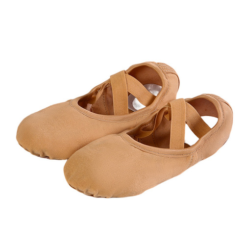 Stretch cloth dance shoes women's soft sole practice shoes adult yoga shoes new cat claw shoes ballet shoes body shoes wholesale