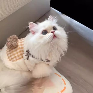 ؈���·��ﶬ�����ë��ů����Ӣ�̲�ż��u����؈����ӽq���_��