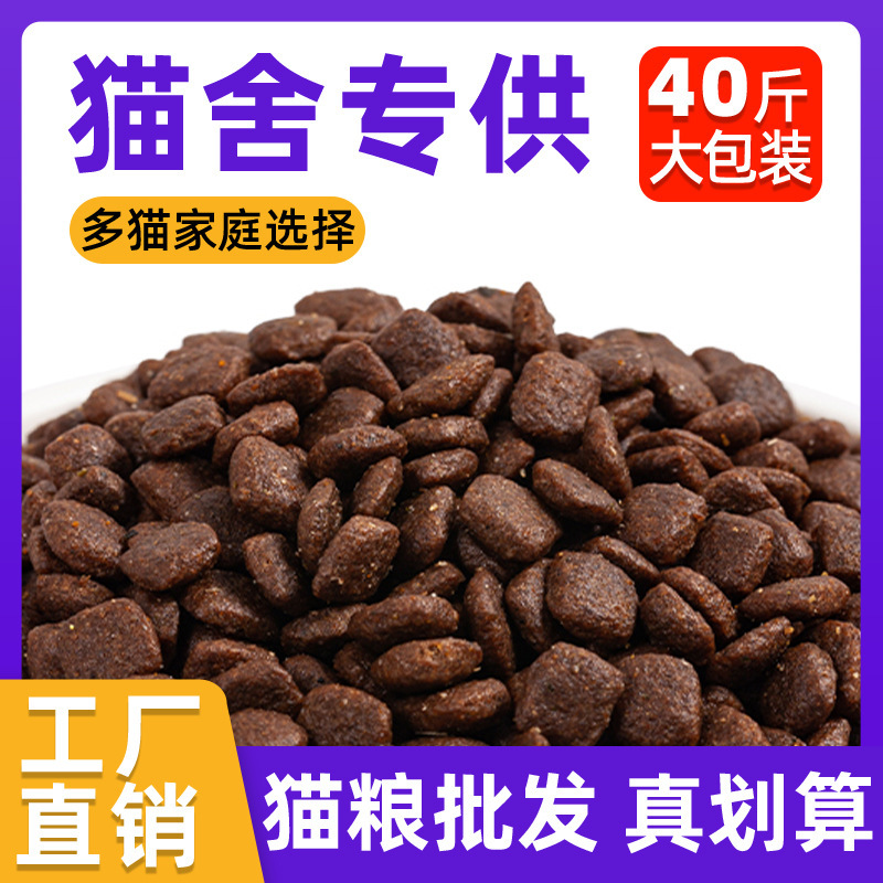 Factory Direct Sales Cat Food Wholesale Gold Gradient Maine Full Price Adult Pet Food for Many Years Old Factory Can Be Oem and Customized