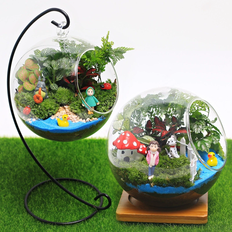 [13 см] Микро пейзаж Творческий завод мини-горшок DIY растение подарок на день рождения мох стеклянная бутылка
