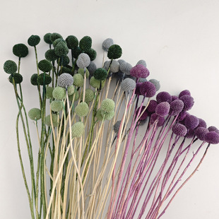 ��������S�����滨�Ҿ��b�ins�L��YDIY���Ŀ羳���l