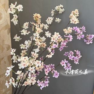 �����滨 �U���b��滨 2��ѻ����Ļ� ��Y�ò��÷�����ؼ���