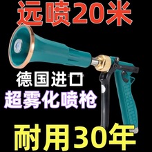 新款進口霧化噴槍台灣農用電動噴霧器高壓柱塞泵果樹噴霧槍其他桐