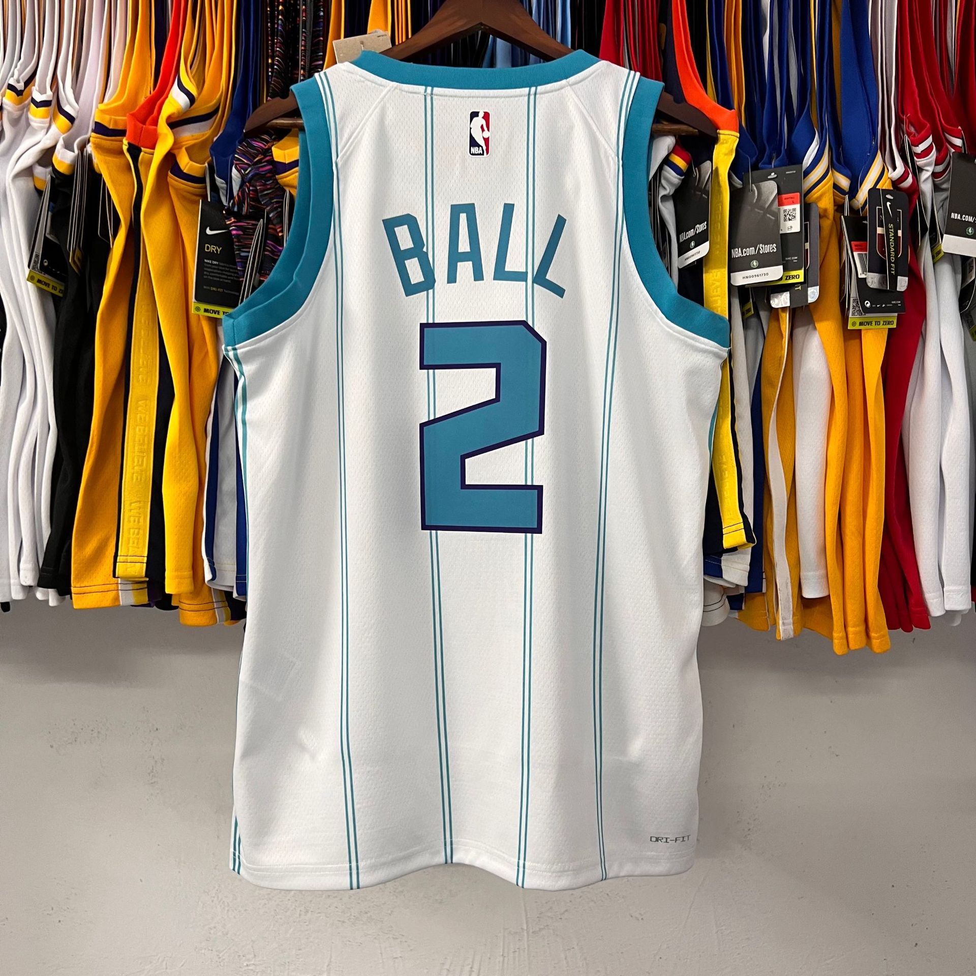 Charlotte Hornets NBA Jersey Detail
