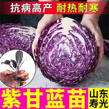 ߮a͟ͺϸ{Yo~GĲ˴^˷NСԺ