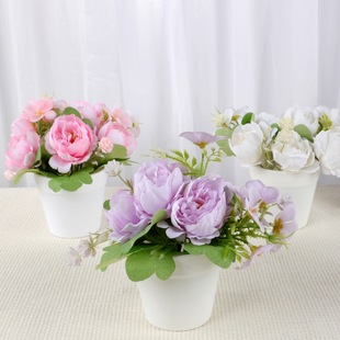 �Ҿ����Ի����ϵ������滨�Gֲ�����廨���b��������ĵ�����b�