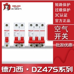 Miniature Circuit Breaker DZ47S -63/2PC16 Delix Air Switch DZ47S