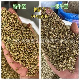 ��ţ��oregano ���_����������ţ���~ ţ�������l ������������{