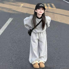 女童巨好看秋装套装小学生女孩秋季运动服洋气时髦儿童卫衣两件套