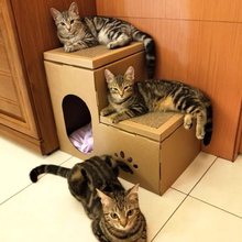 猫抓板猫窝一体猫纸箱猫房子别墅立式猫抓板磨爪器耐磨猫咪用品