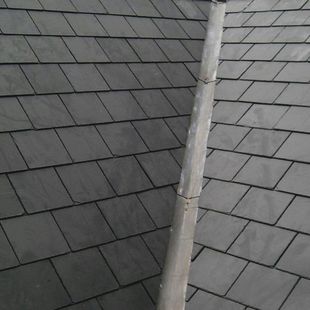 ľ�y�ᡢ�r�񌍻ݡ�ľ�y����ϡ��x�����