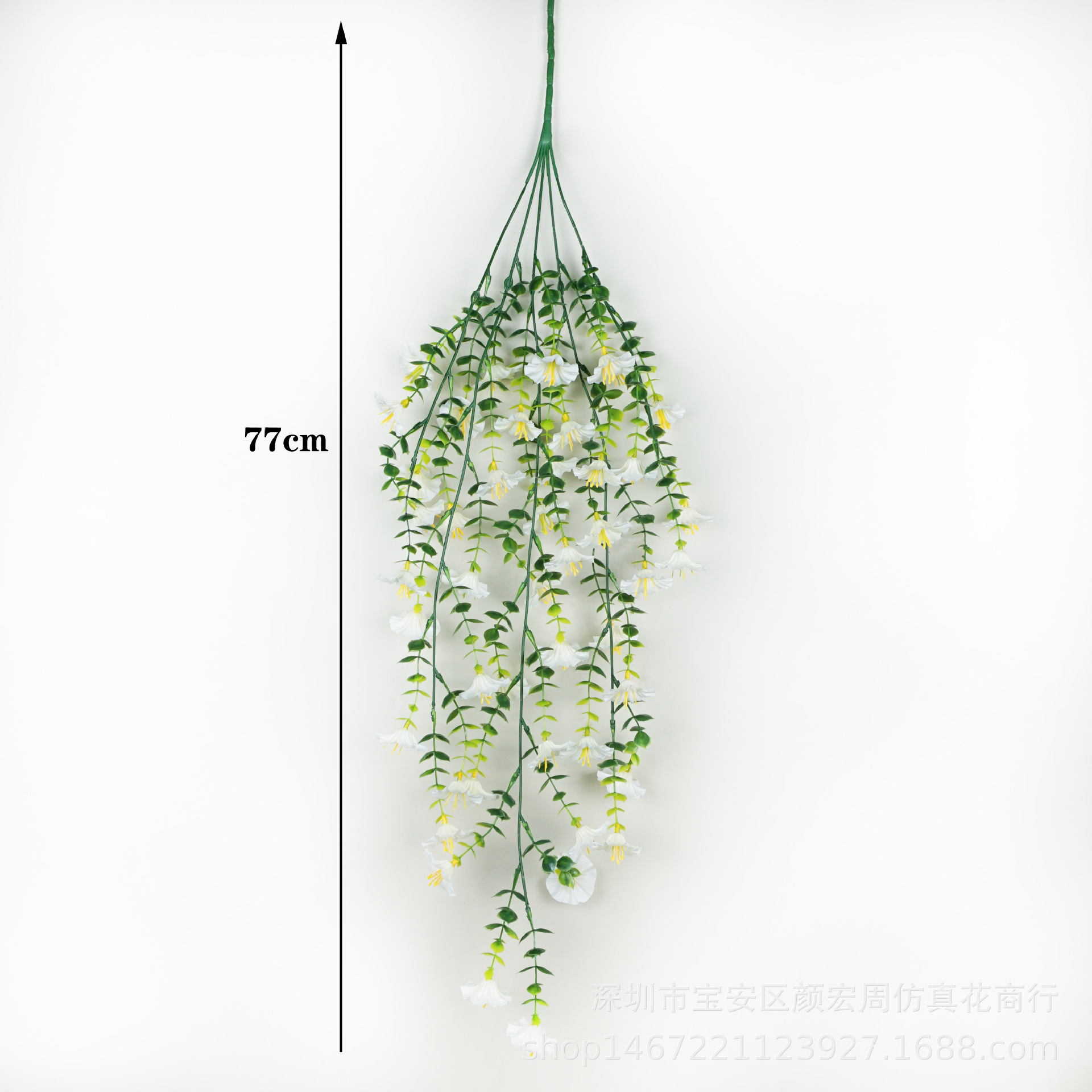 하얀색