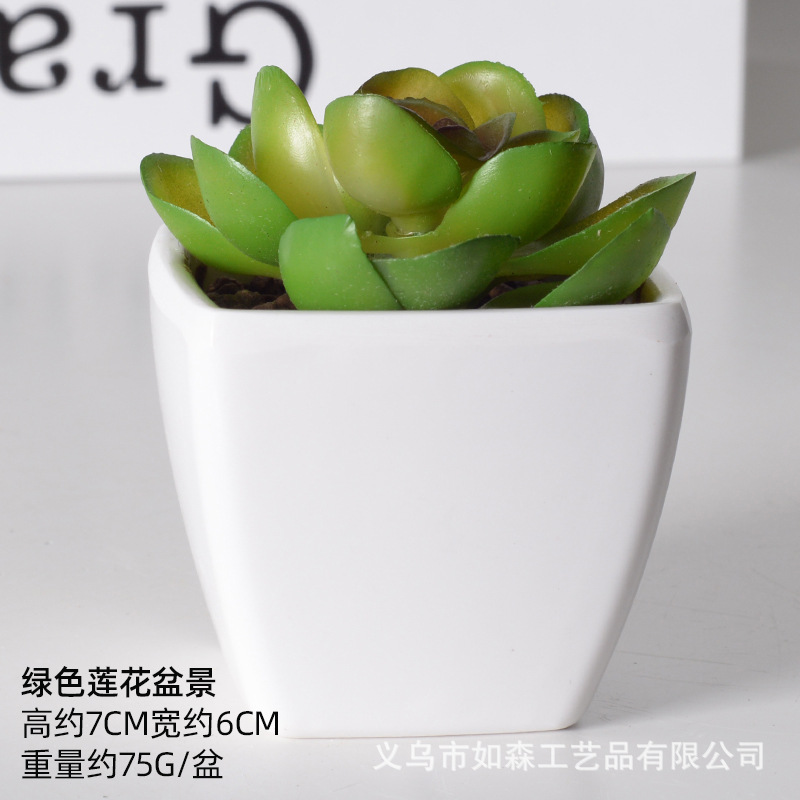 Simulación de plástico carnoso bonsai flor falsa combinación oficina interior escritorio plantas verdes pequeños adornos plantas artificiales al por mayor image 33
