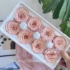 4-5CM light pink gradient box