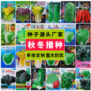 �����ﶬ���߲˷N�Ӵ�ȫ�ļ����Բ�����˰ײ˷N���}������ѷN��