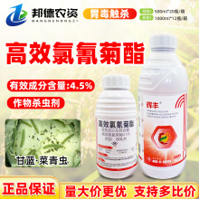 rһW4.5%Ч߲˸{xֲrș߻|x