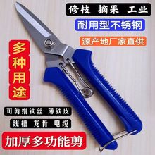 늹������h�����~�����FƤ���I�ø�Ӳ�Ȳ��P���֦���ò�ժ�����