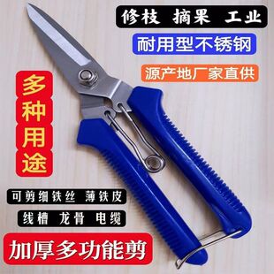 늹������h�����~�����FƤ���I�ø�Ӳ�Ȳ��P���֦���ò�ժ�����