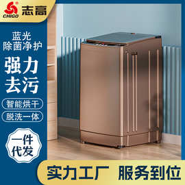 洗衣机全自动家用烘洗脱水一体宿舍租房小型波轮7-10kg洗衣机