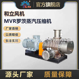 厂家污水输送直联式罗茨风机 脱硫脱硝风机输送直联式罗茨鼓风机