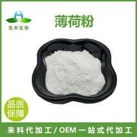 薄荷粉 98% 薄荷提取物 薄荷浓缩粉 水溶薄荷汁粉 食品级原料现货