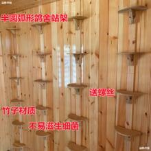 赛鸽信鸽专用碳化竹休息架鸽子挂钩站架鸽子用品用具鸽具栖架站架