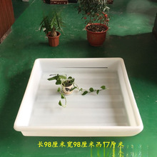 ˮ�۴�̖�L����ˮ�a���uţ������ˮ���~���~��\��ʳƷ���Bֳ�Ӻ�