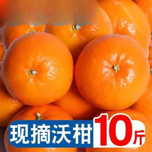 广西武鸣县沃柑9斤橘子新鲜水果当季沙糖蜜橘砂糖柑橘大果现摘