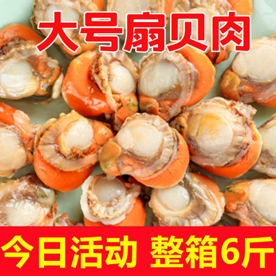 Shunfeng Outsize Scallop meat fresh Freezing Scallops Shellfish Seafood Scallop Seafood Aquatic products wholesale